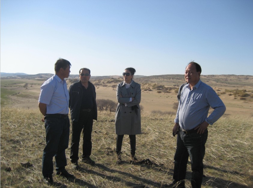 發(fā)揮資源優(yōu)勢，提高產(chǎn)業(yè)鏈競爭力——協(xié)會為企業(yè)間的合作搭建平臺