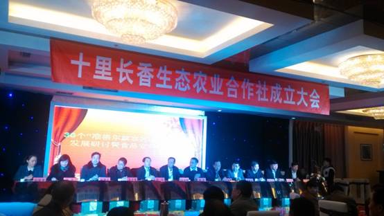 走過十里長川，拉開“十里長香”品牌的序幕