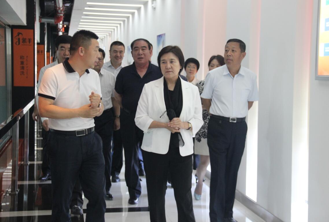 自治區(qū)黨委副書記、自治區(qū)主席布小林蒞臨協(xié)會會長單位——蒙羊牧業(yè)公司視察調(diào)研